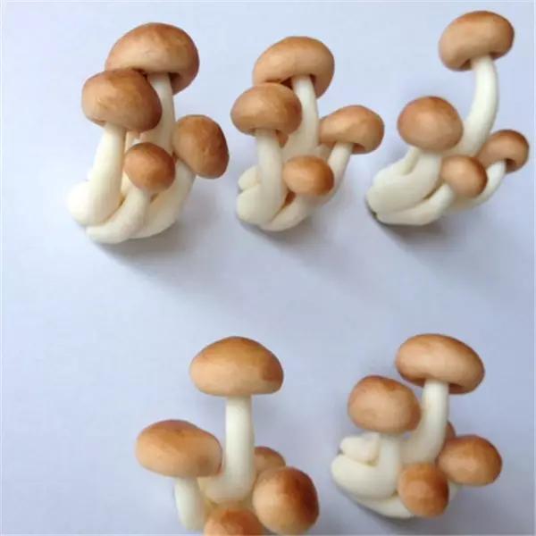 儿童节好多礼物,好看既实用的儿童节礼物