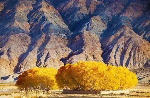 中国地大物博，知道东、南、西、北极在哪里吗？