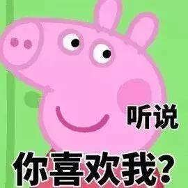 猪年限定产品有哪些,猪年限定上架