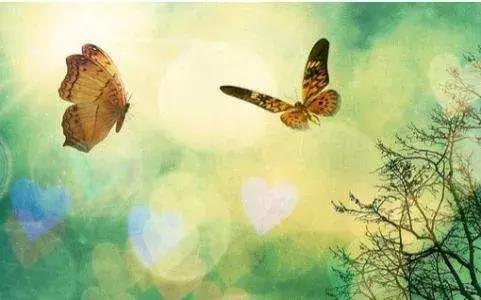 小提琴梁祝五线谱简单版,梁祝五线谱简谱对照