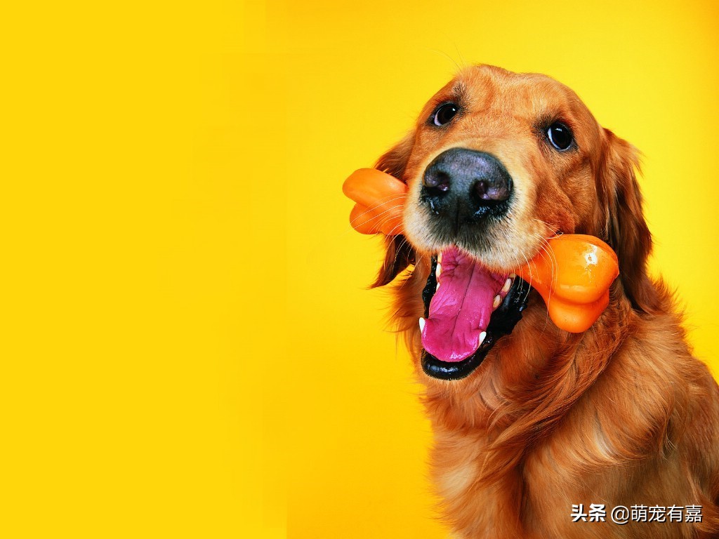 针灸治疗膝关节炎的专题报告,针灸是怎么治膝盖骨性关节炎的