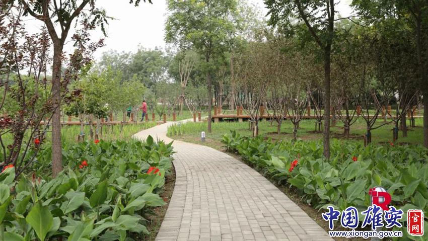 雄安十大必去景点,雄安最美打卡地