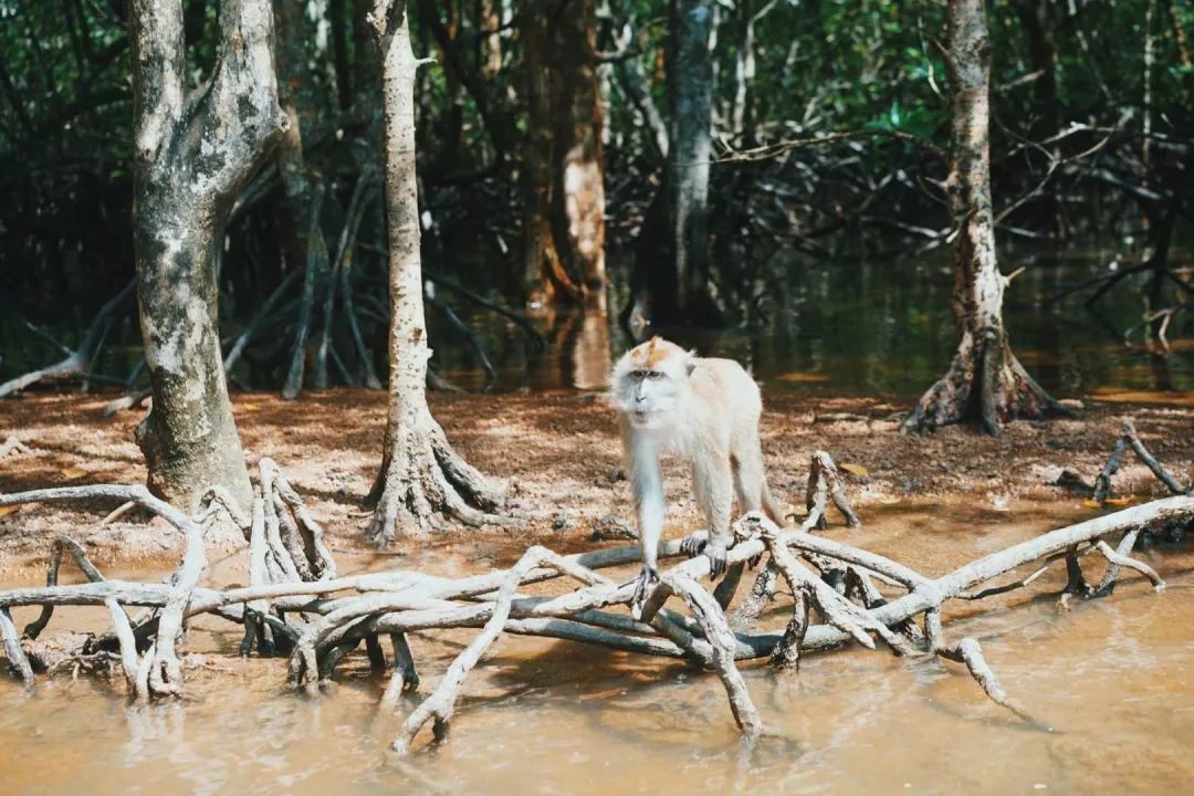 初夏海边旅行攻略,初夏自驾一日游