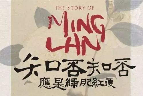 中国电视剧的日语叫法,中国电视剧的日本中二译名