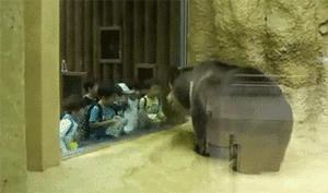 搞笑gif动图开心一刻,搞笑gif开心视频