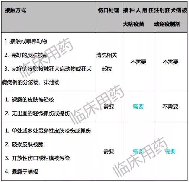 被老鼠兔子咬了要打狂犬疫苗吗,人被兔子抓了出血要打狂犬疫苗吗
