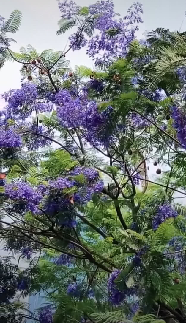 公公吵架骂儿媳妇怎么办,小两口吵架公公应怎样安慰儿媳妇