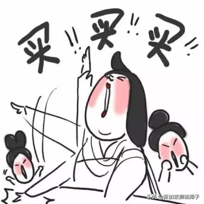 新加坡省钱方法,新加坡全岛竟有这么多工厂折扣店