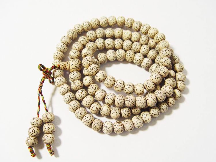 星月菩提名词大全,星月菩提术语有哪些