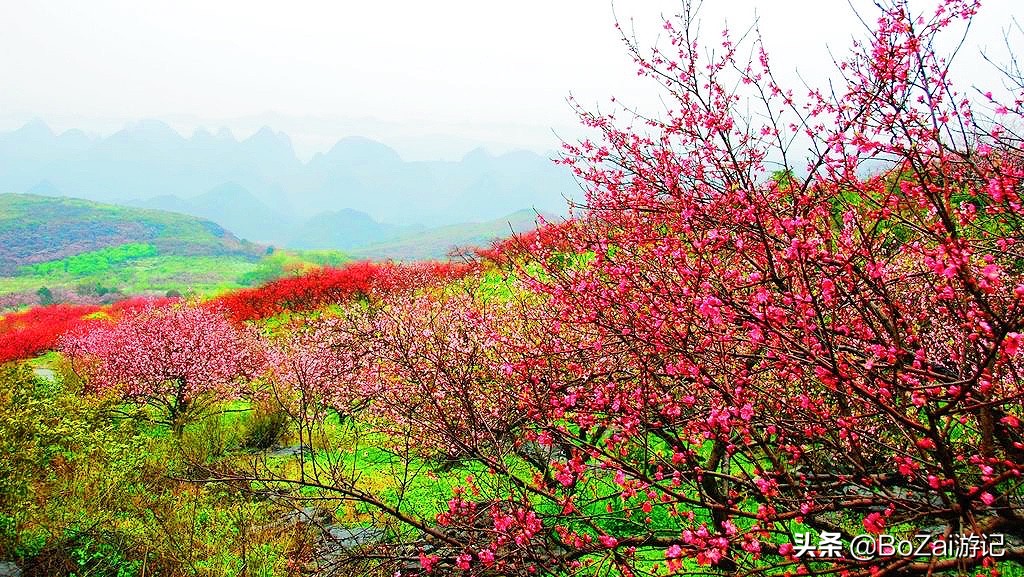 广西乡下田园最美风景图片,广西十大最美风景区