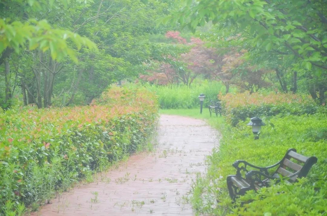 梅雨时节的铁山寺，这里藏着最美的风景