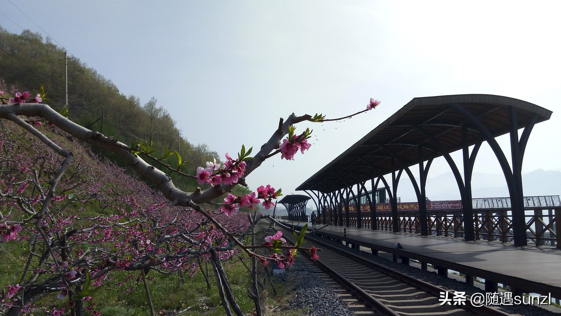 丹东宽甸桃花旅游攻略,丹东宽甸桃花岛旅游攻略自驾