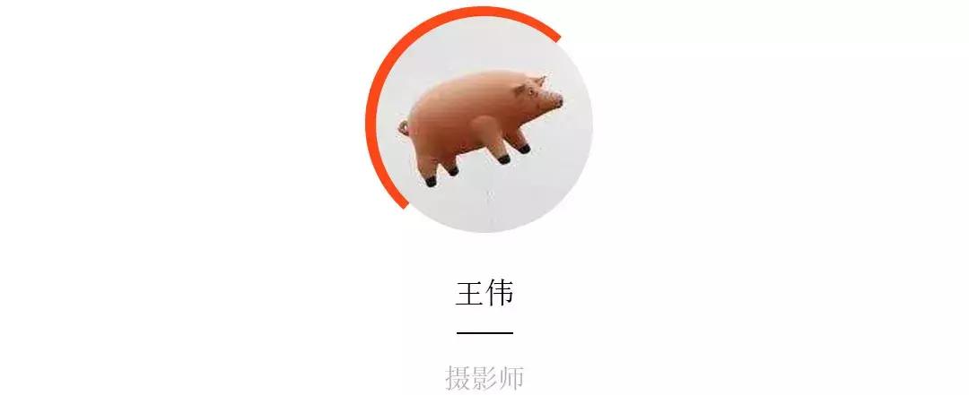 已经2019年了，我们还能拿“搞乐队”这件事耍帅吗？