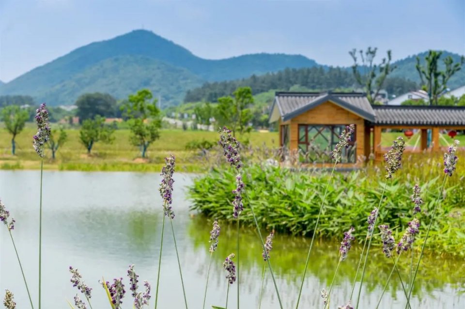 常州仙姑村农家乐,仙姑村农家菜