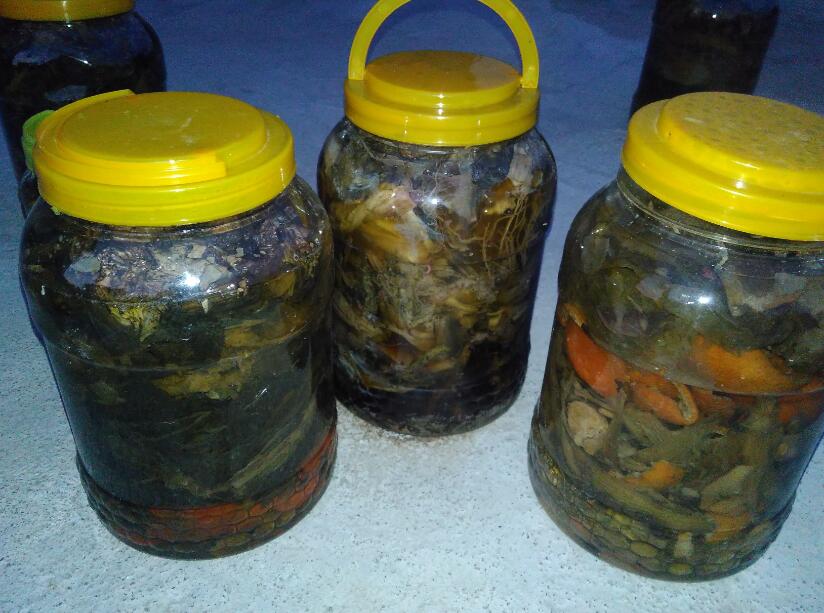 土壤中蒜苗需要把它全部盖住吗,大矿泉水瓶蒜苗土壤种植方法