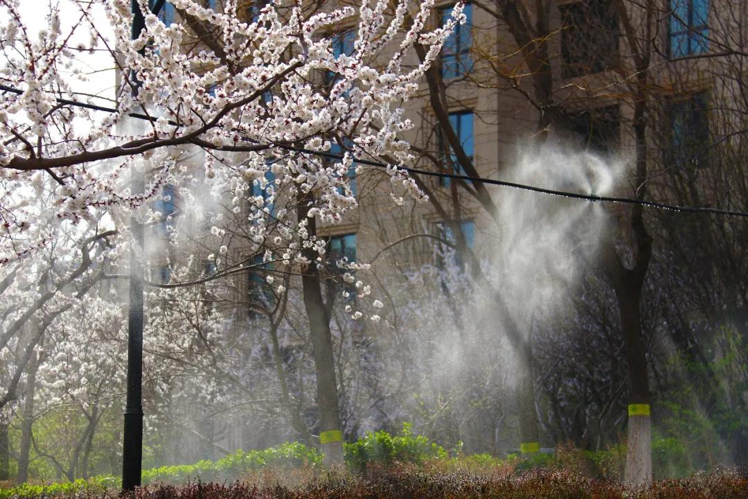 走在春天里简谱,歌曲走在春天里