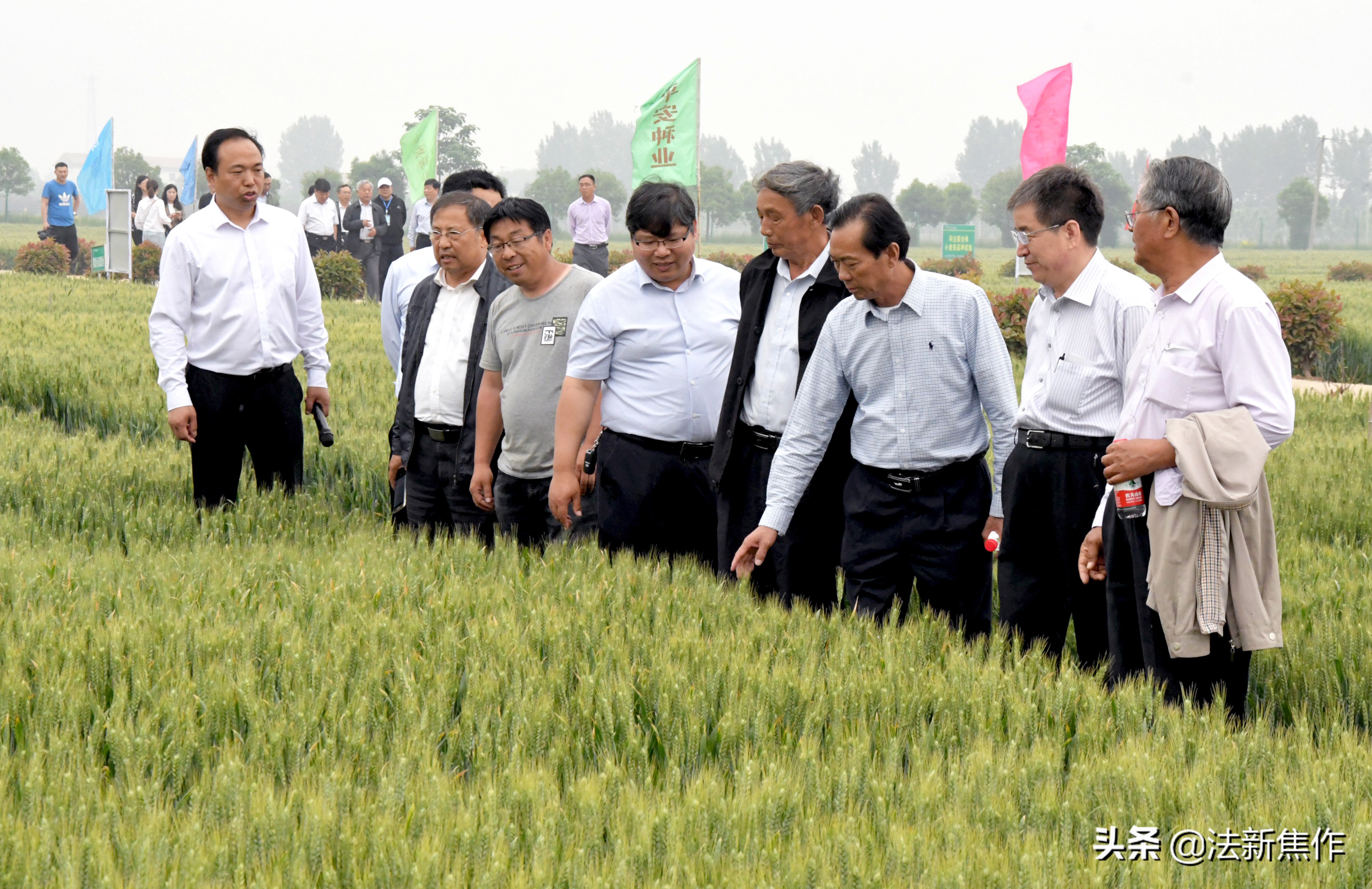 建党百年感人诗歌,献礼建党百年诗