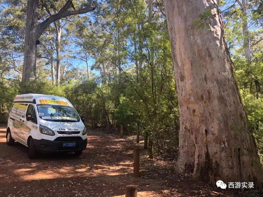 涓浗浜哄湪婢虫床鑷┚,涓浗灏忎紮鍘绘境澶у埄浜氳嚜椹炬父