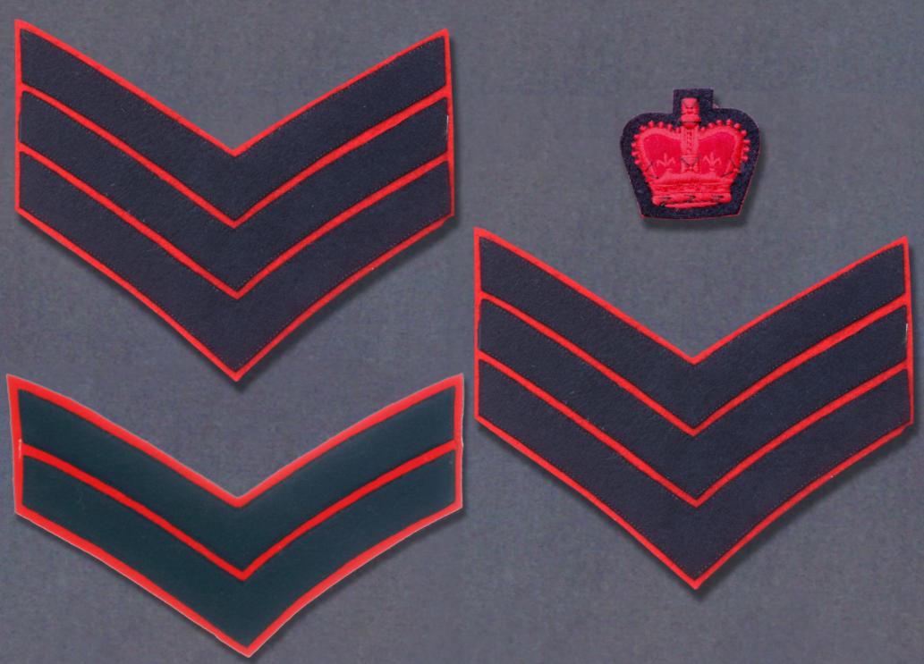 英国皇家卫队军衔图片,英国皇家5个步兵团