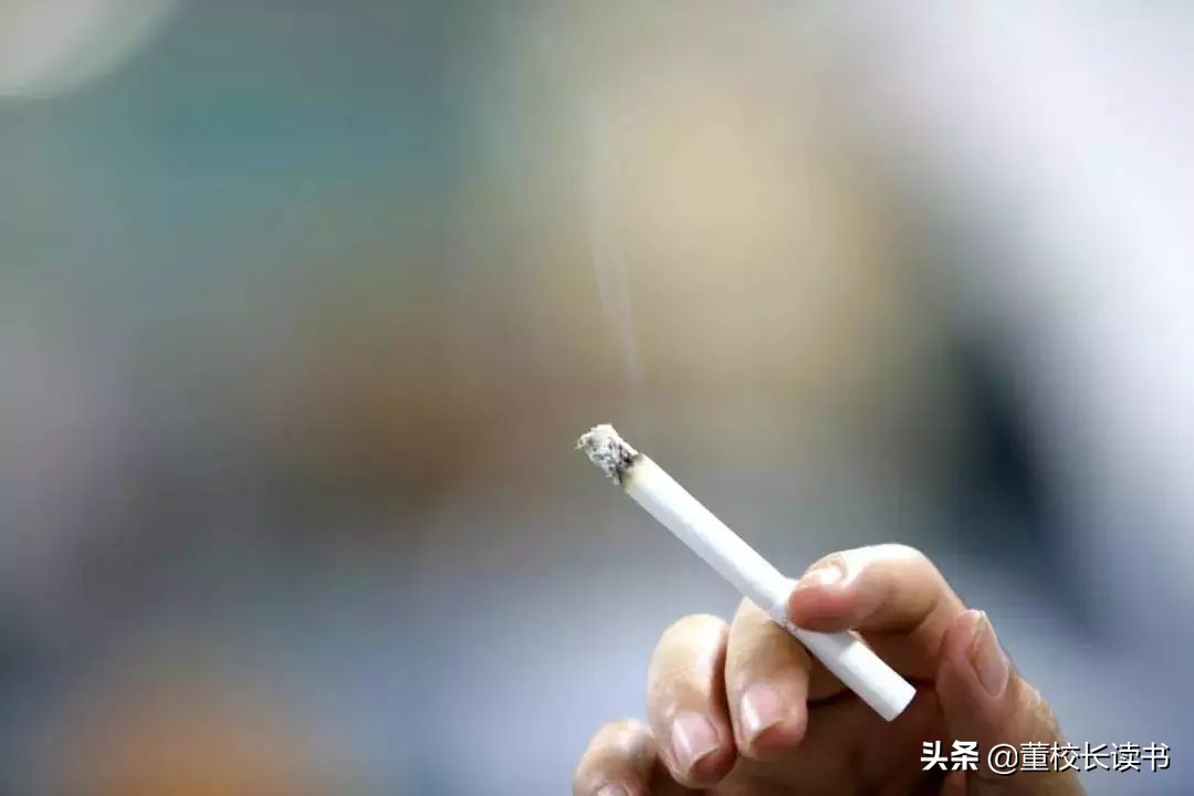 中国烟草,中国烟草利润