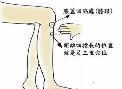 激活人体7个“生阳点”，等于给健康加油，能源源不断地产生.....