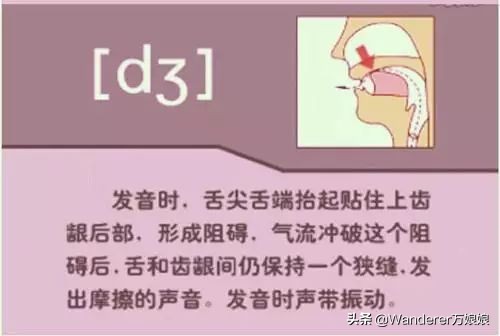 英语48个音标发音附详细图解,音标发音48个正确发音讲解视频