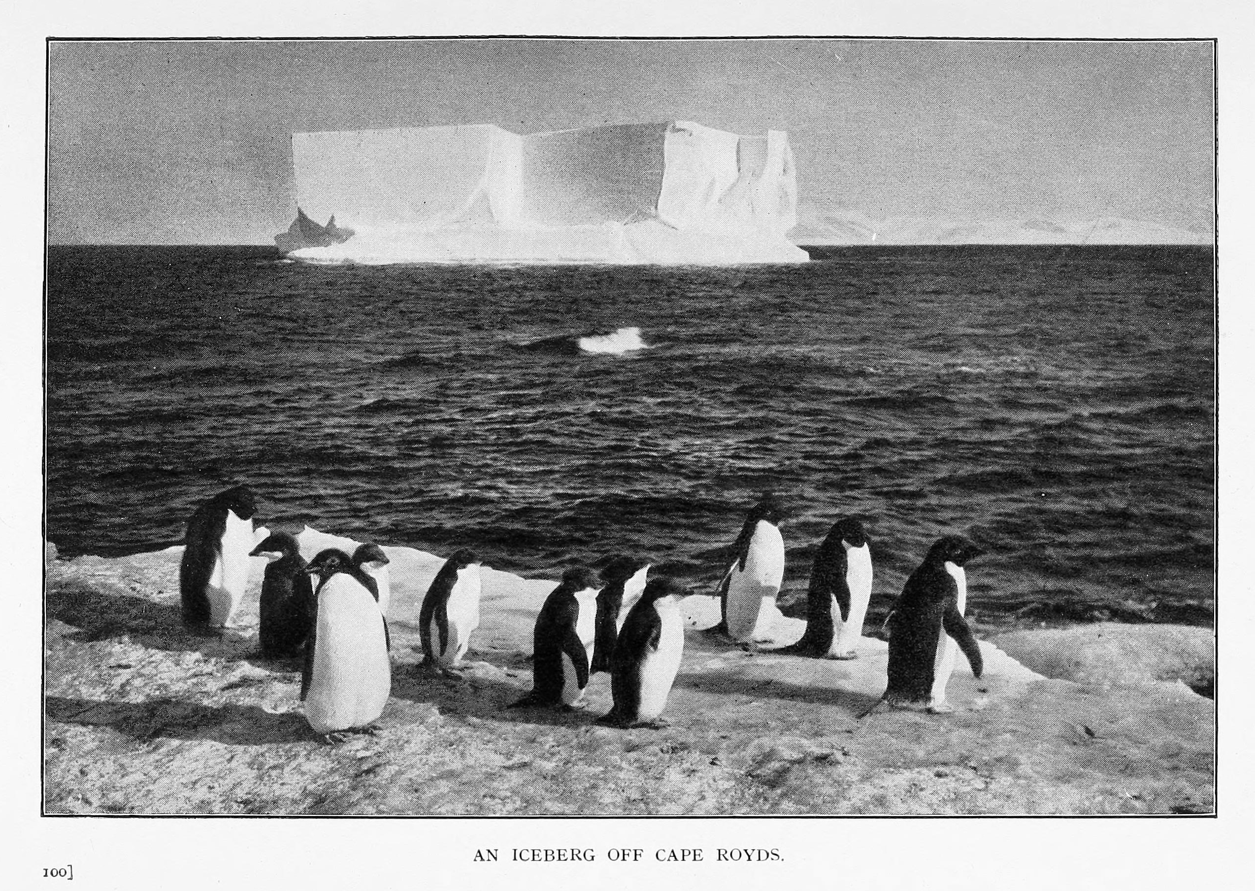 苹果手机的拍照技术,苹果手机有哪些拍照技术