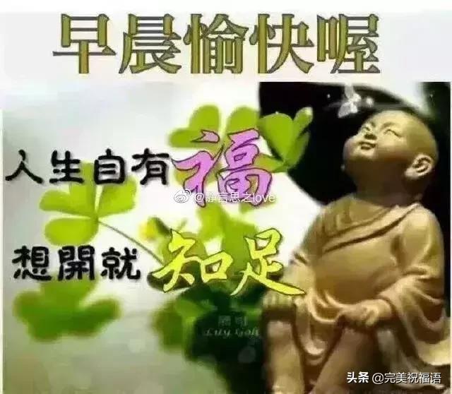 漂亮早上好问候动态鲜花图片带字,超暖心早上好问候祝福语唯美图片