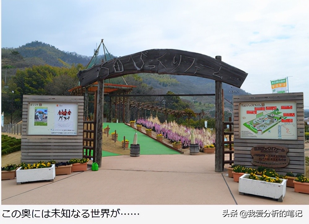 酵素的市场需求和痛点,酵素产品价格现状与预测