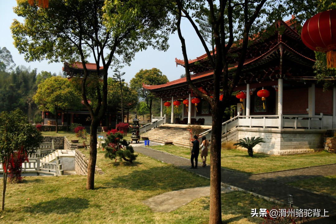 中国五大少林寺排名,中国五大禅宗寺院
