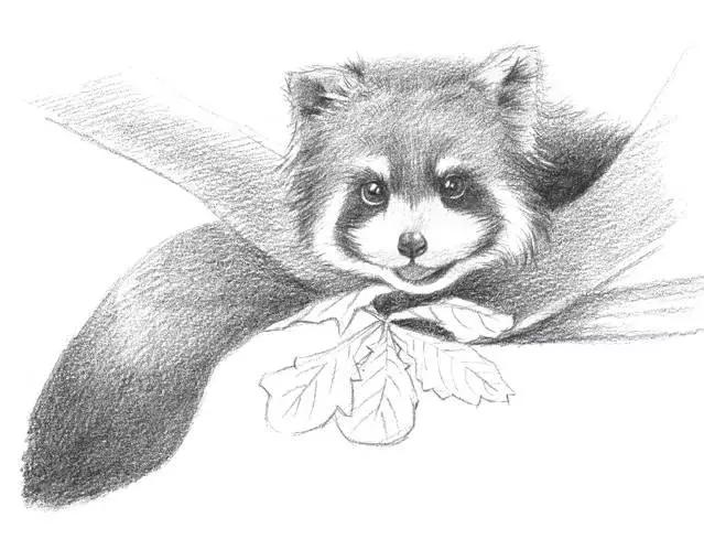 怎么画戴着红领巾的小熊猫,画一只小奶猫超级简单