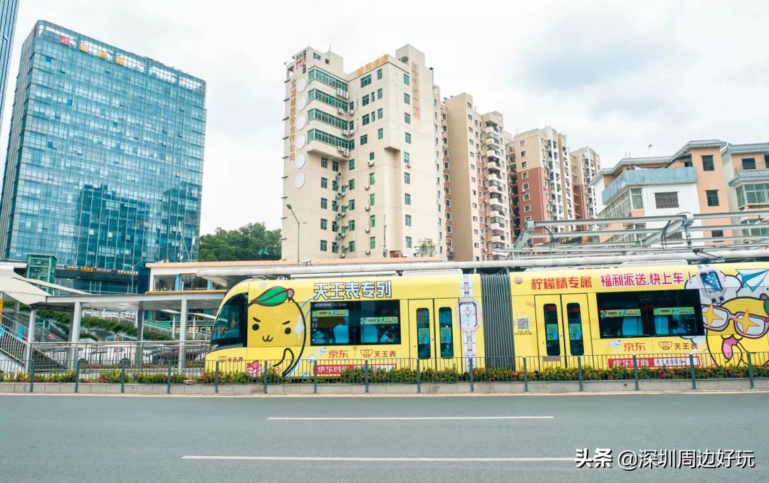 住在深圳各区的人,住在深圳市的人