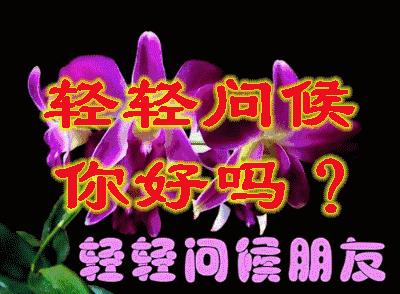 4月1日愚人节的祝福语,4.1日愚人节怎么来的