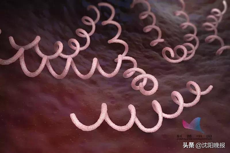 艾滋病真的有这么容易传染吗,艾滋病传染途径主要有哪三种