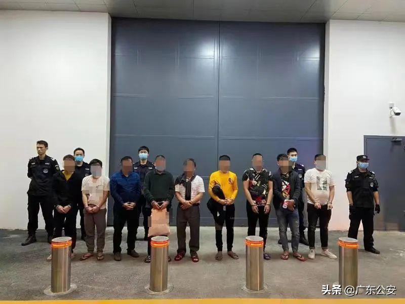 你中招了吗原版视频,你中招了吗女声版