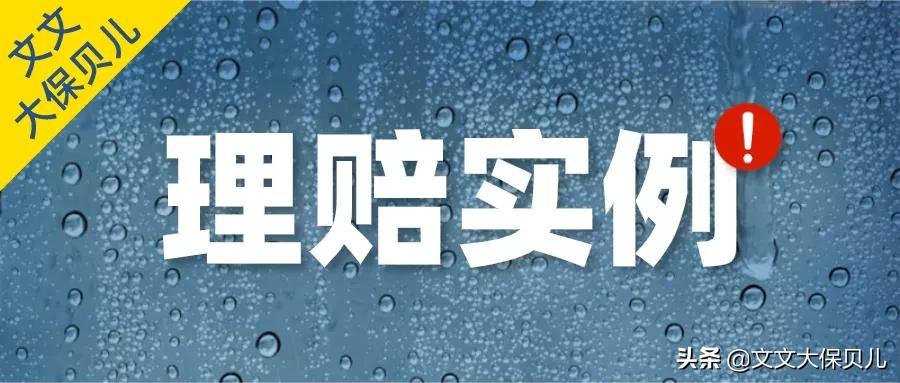 狗咬了意外险报多少,理赔意外险案例