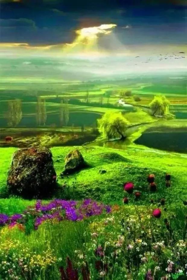 “止损”是散户亏损的无底洞