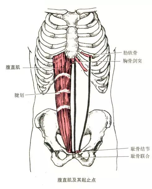 健身房卷腹凳正确教程,健身里的搓衣板
