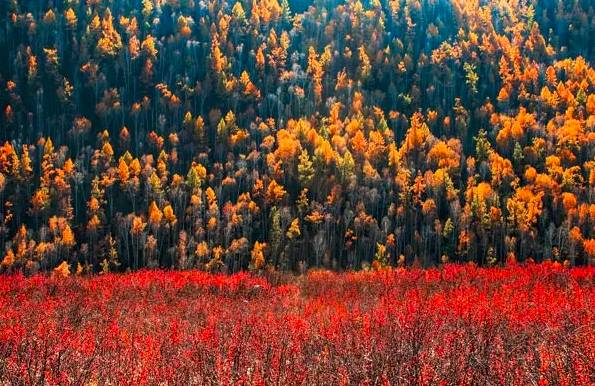 阿勒泰秋天有多美,秋天的新疆阿勒泰太美