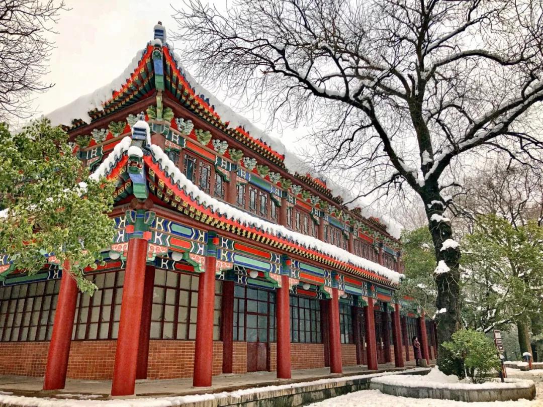 云旅游带你看遍天下美景,一起去旅行吧旅游