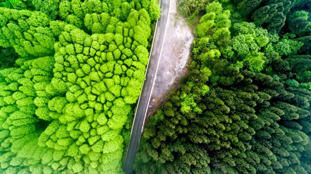 最值得去的10个国外旅行地,国内最值得去的二十个城市