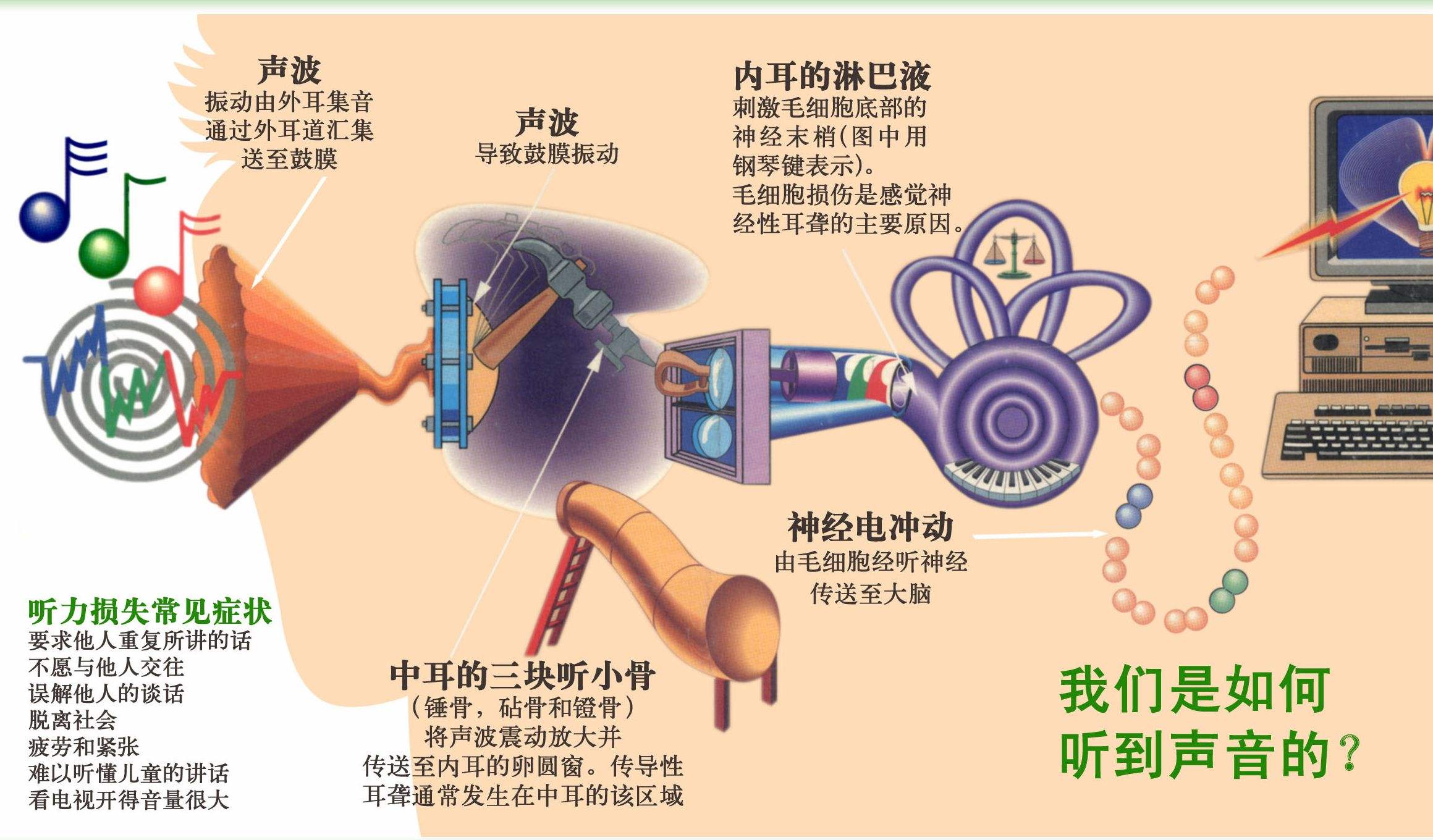 杂声干扰听力下降,7khz以上音频听力下降