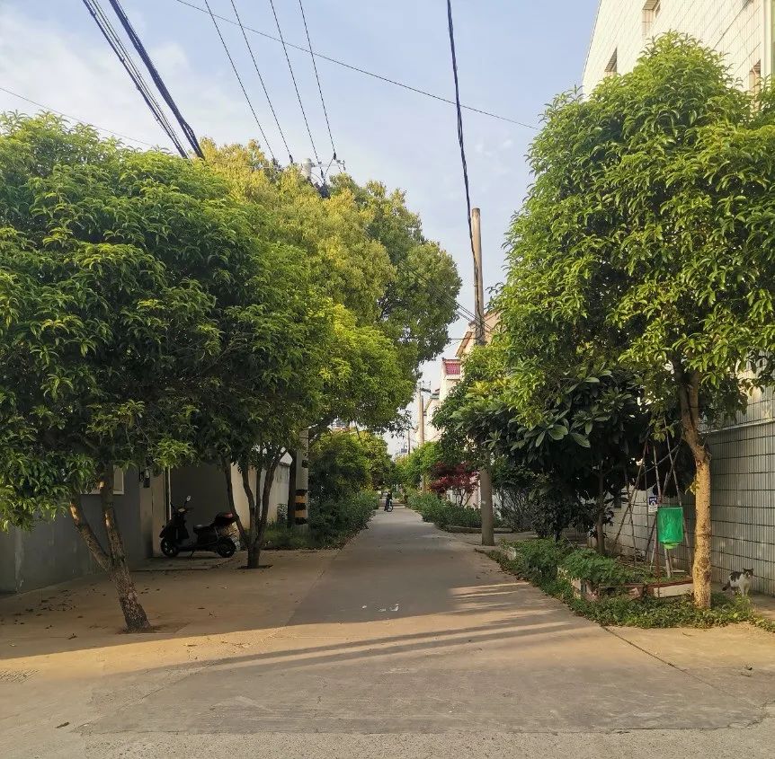 等深线文章,等深线