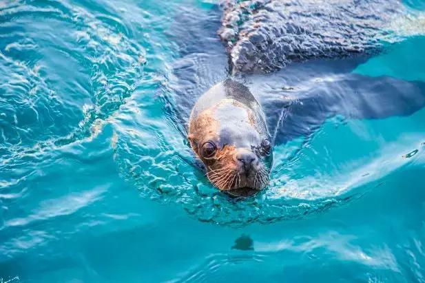 辽宁省有个小城市,辽宁最有魅力的小城