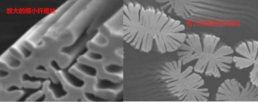 95后的雯晴现状,00后女大学生辞职创业万家丽