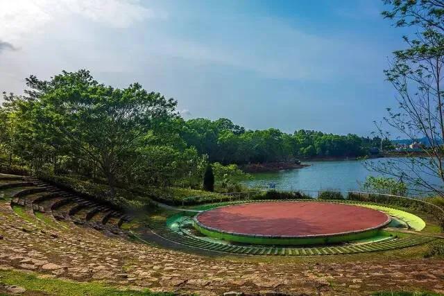 深圳花海景区推荐图片大全,深圳哪里有大片花海