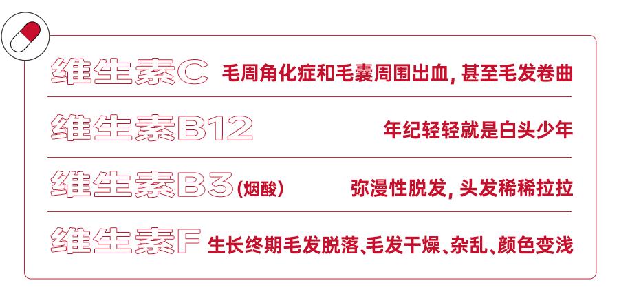 生发养发吃什么食物防止脱发,生发护发的食补方法有哪些