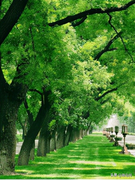 2020年100个手机摄影作品,摄影大赛2024手机摄影