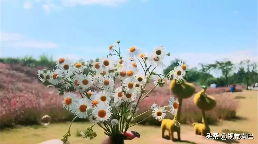 鍗佷簩鏃惰景鐪嬫噦浜虹敓,璇绘噦12鏃惰景