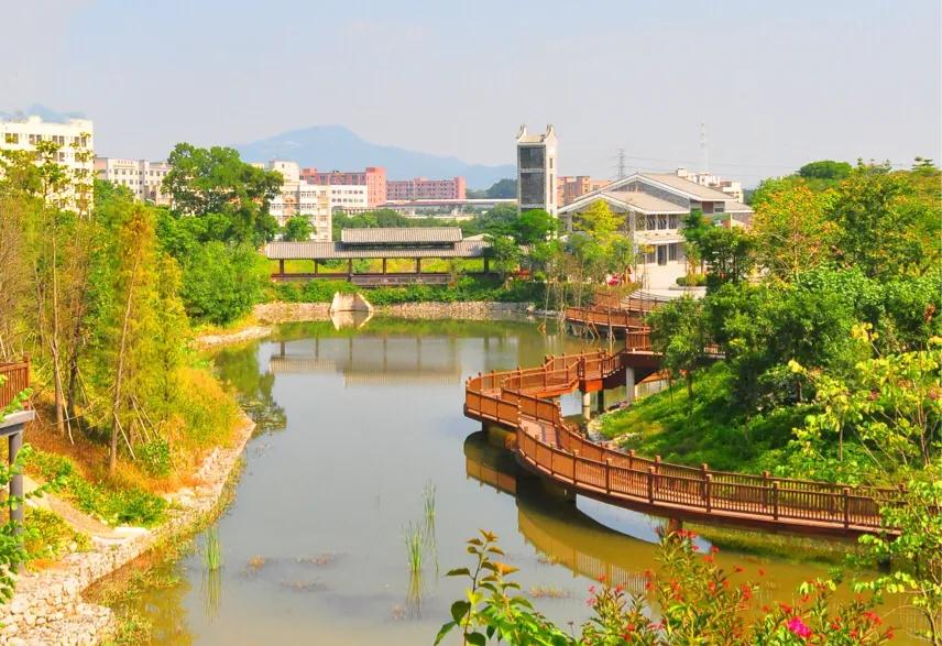 深圳花海景区推荐图片大全,深圳哪里有大片花海